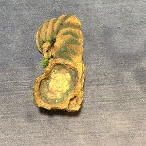 Naturalistic Reptile Habitat Decor